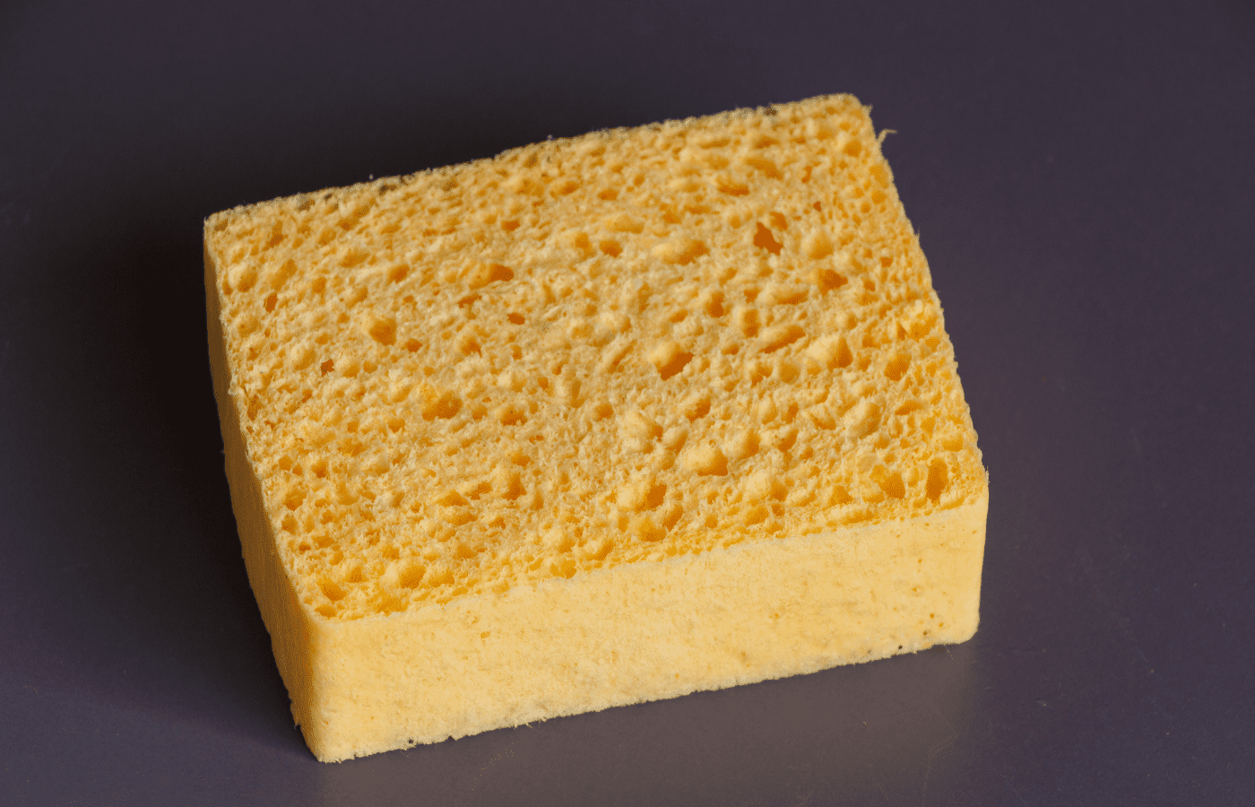 Are Trader Joe's Sponges Compostable? (Answered) AisleWizard