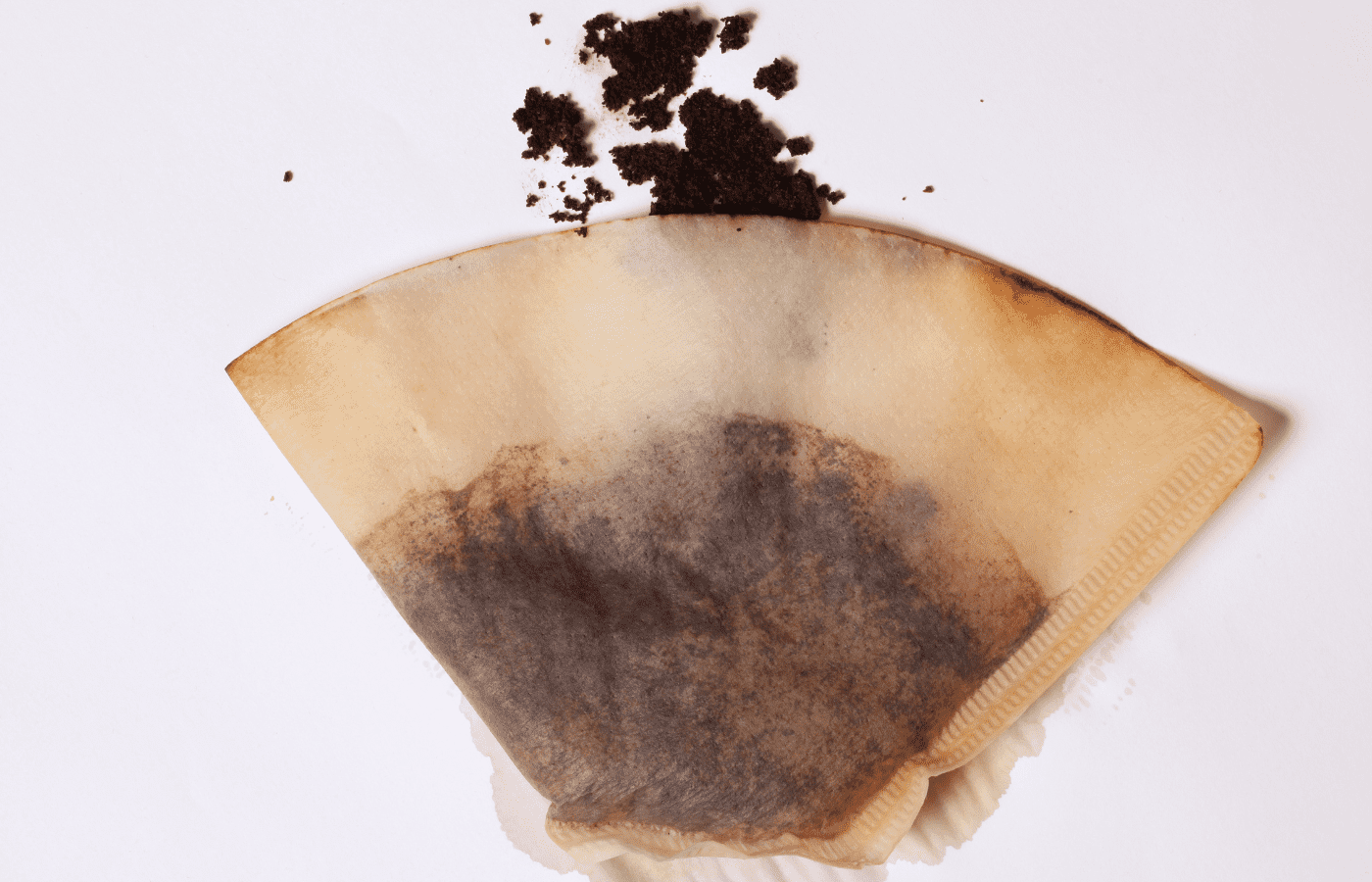 Are Trader Joe’s Coffee Filters Compostable? (Answered) AisleWizard