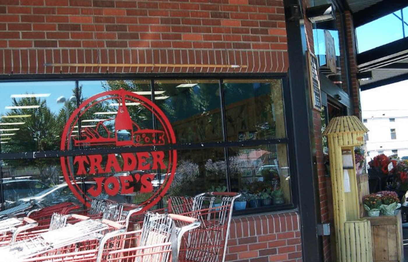 Does Trader Joe's Sell Paper Plates? (Answered) AisleWizard