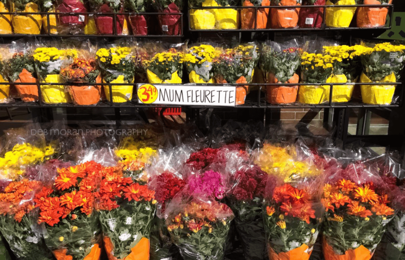 Trader Joe's Return Policy for Flowers
