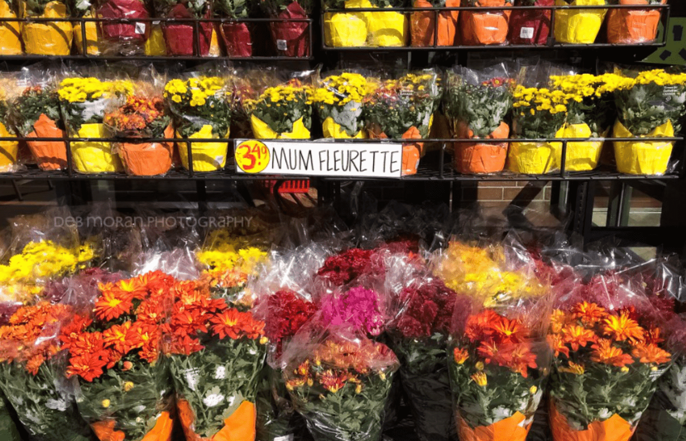 can you order bulk flowers from trader joes