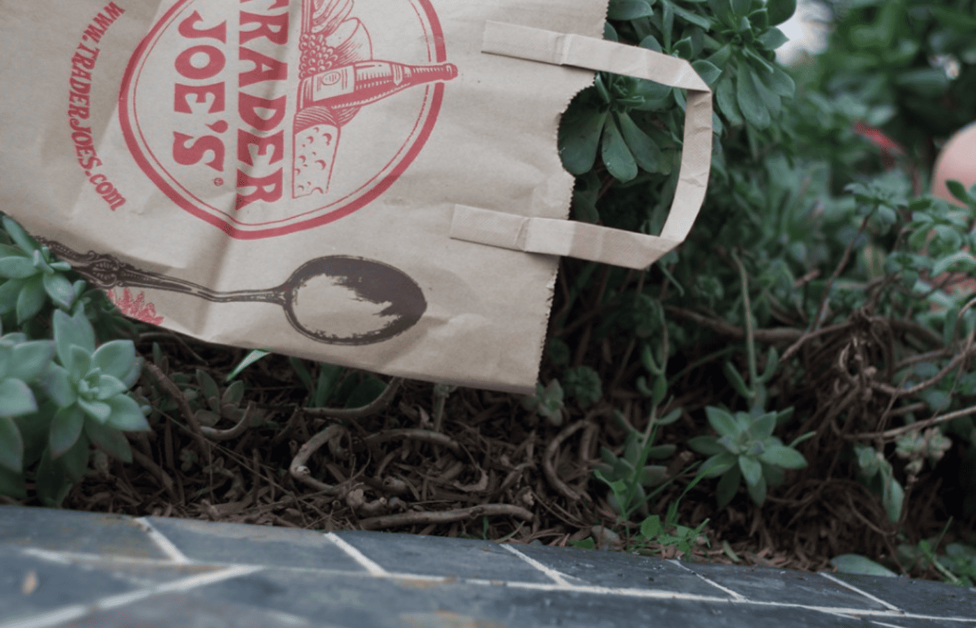 Does Trader Joe's Sell Umbrellas? (Answered) AisleWizard