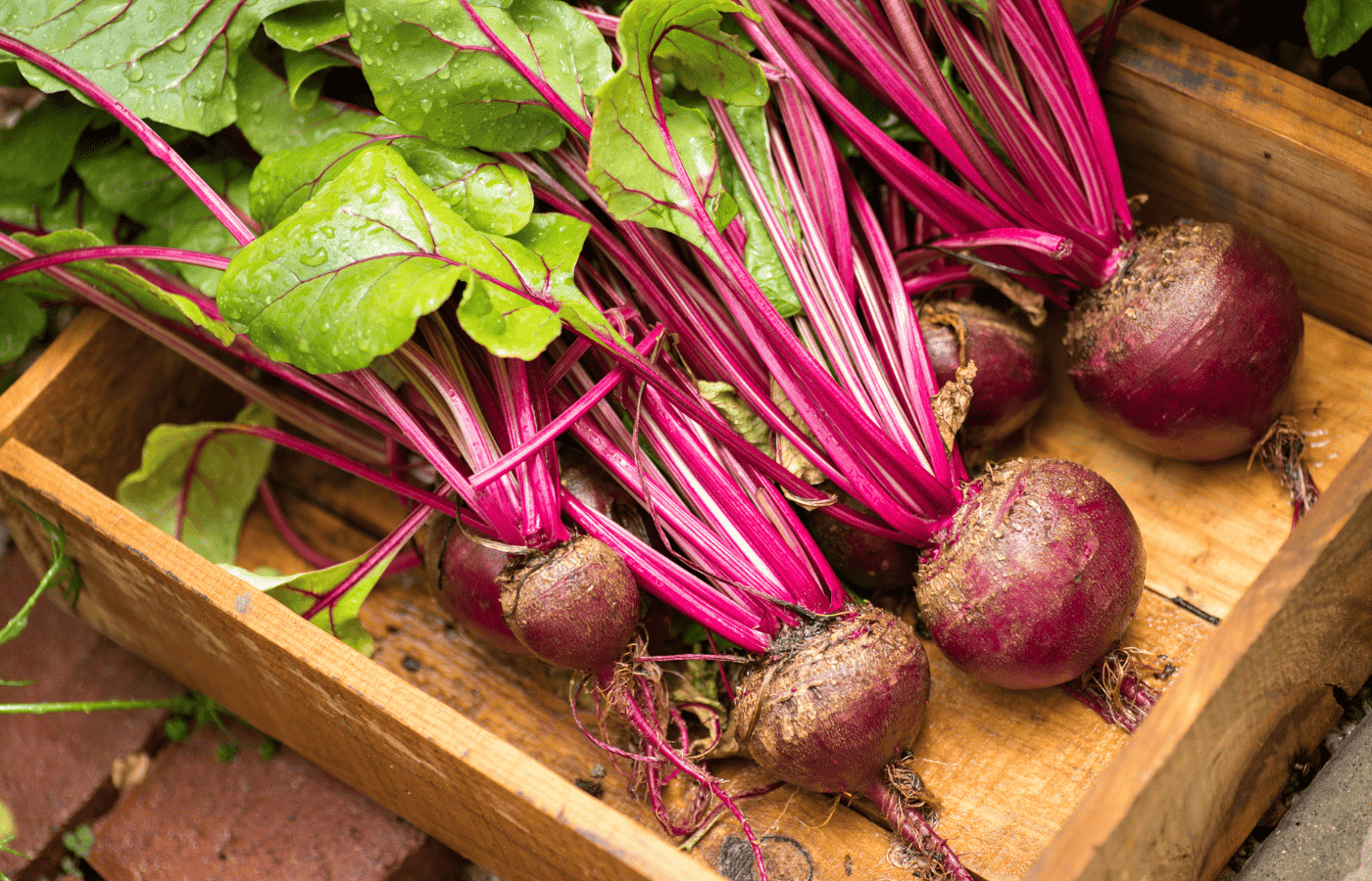 Does Trader Joe's Sell Red Beets